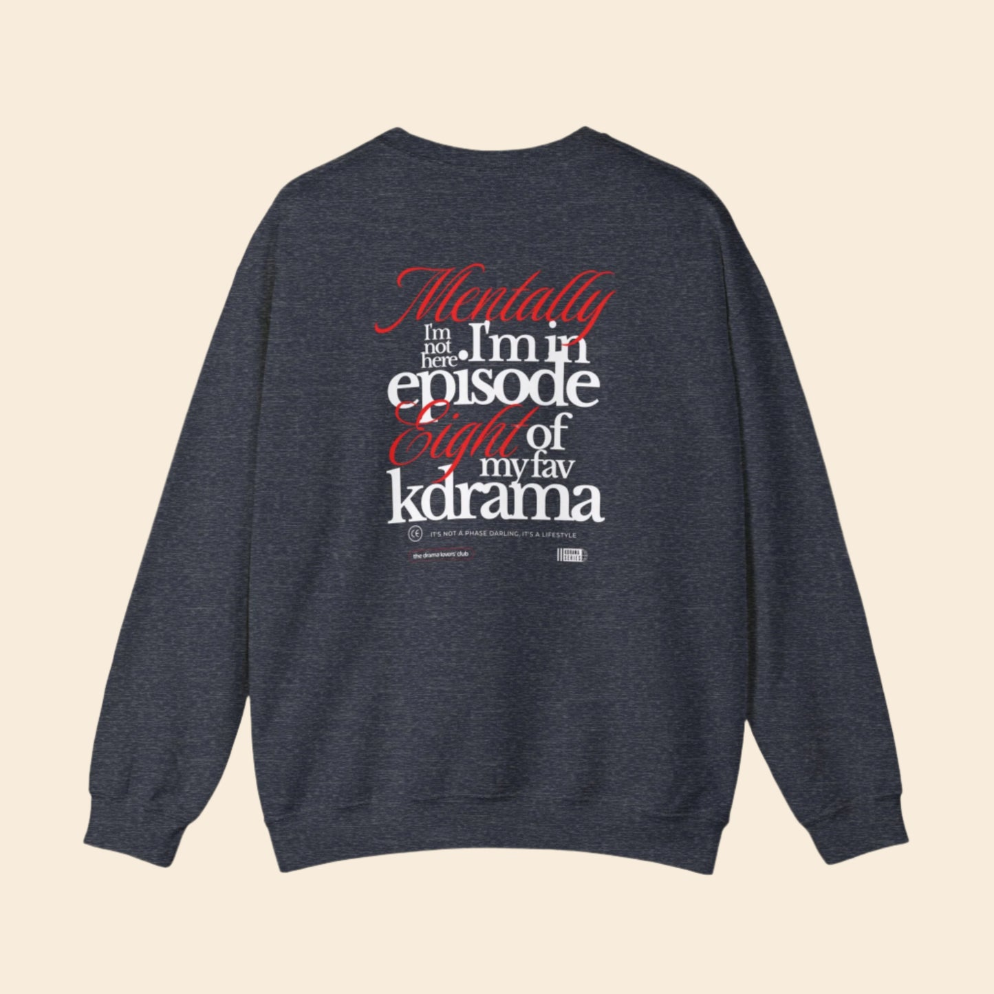 Dark gray sweatshirt with text ARCHVSTS X MENTALLY SWEATSHIRT on the back on a white background